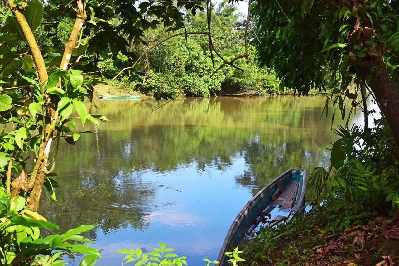 Suchipakari Amazon Eco -Lodge & Jungle Reserve Puerto Misahuallí Exterior foto